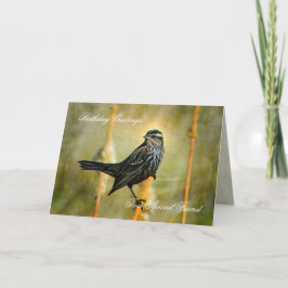 På kortet Limelight Birthday Greeting Card Kort