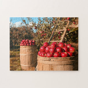 På lantbruksfoto på lantgården Apple Orchard Träd Pussel