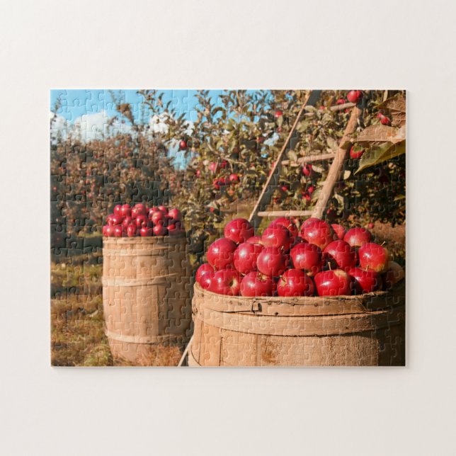 På lantbruksfoto på lantgården Apple Orchard Träd Pussel (Horisontell)