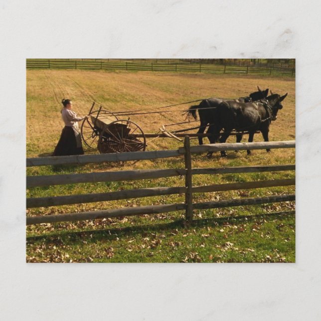 På lantgården vykort (Framsida)