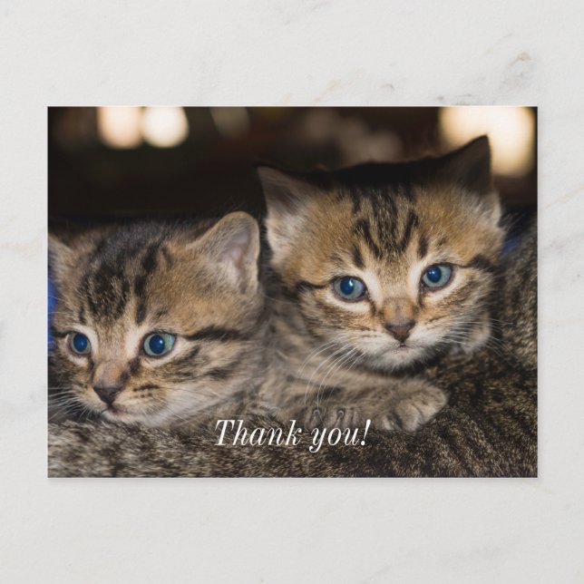 På Mamma Rücken Tacksamhets vykort (Framsida)