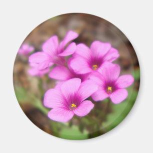 På min dörrmagnet magnet