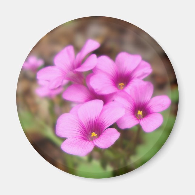 På min dörrmagnet magnet (Framsidan)