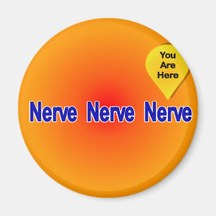 På min senaste nerv magnet
