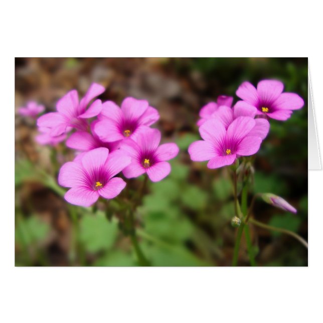 På mitt dörrkort hälsningskort (Framsidan Horizontal)