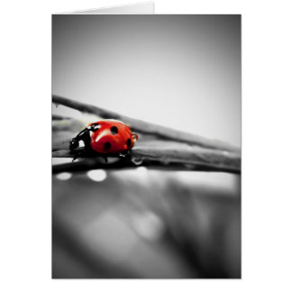 På mitt vägkort hälsningskort