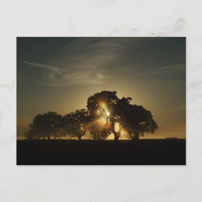 På morgnar som detta vykort (Framsida)