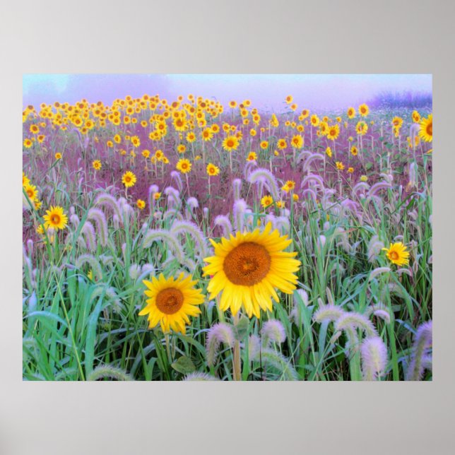 På morgonen skriver du ut poster (Framsidan)