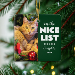 På Nicelistan Julklappat Pet Photo Julgransprydnad Keramik