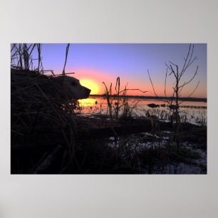 På punkten i Blinden Arkansas Anka Poster