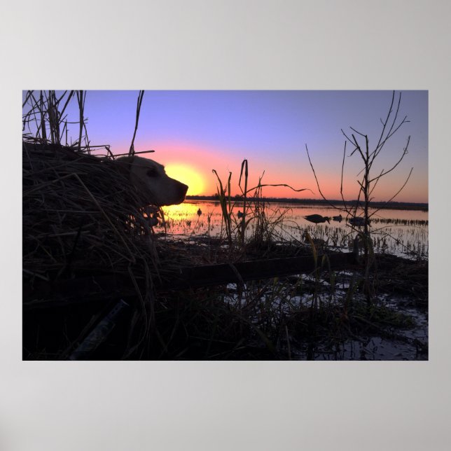 På punkten i Blinden Arkansas Anka Poster (Framsidan)