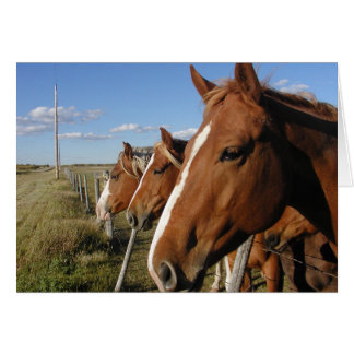 På raden hälsningskort