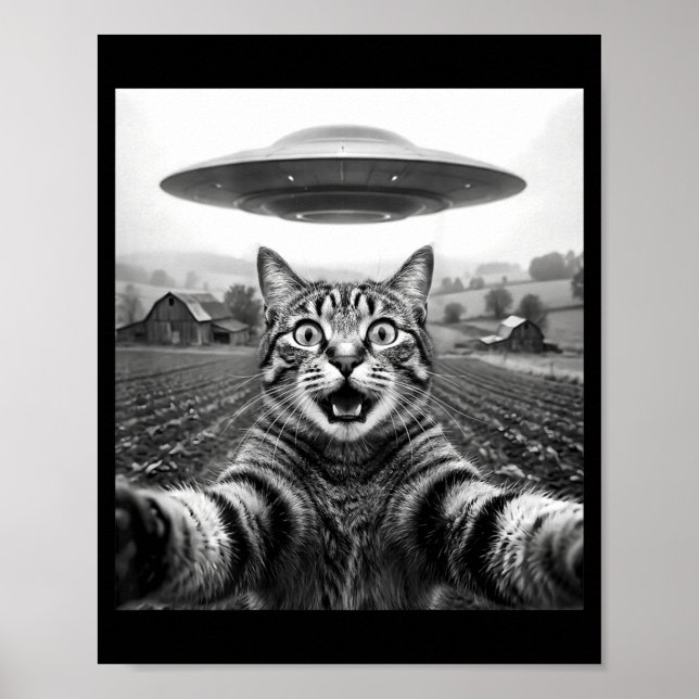 På ryggen Katt Selfie Alien Ufo Poster (Framsidan)