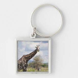 På safari i Tanzania Africa. Fyrkantig Silverfärgad Nyckelring