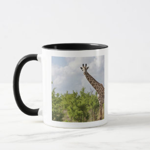 På safari i Tanzania afrika. 2 Mugg