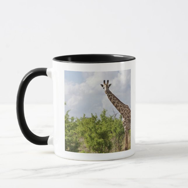 På safari i Tanzania afrika. 2 Mugg (Vänster)