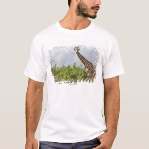 På safari i Tanzania afrika. 2 T Shirt
