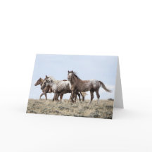 På sidan: Galloping to Freedom Greeting Card