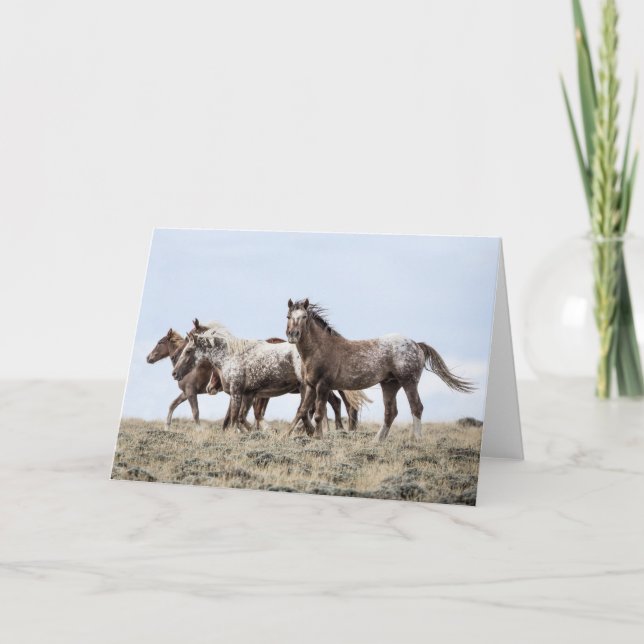 På sidan: Galloping to Freedom Greeting Card Kort (Framsida)