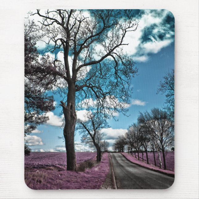 På skälmskt naturväxen damma av slingan musmatta (Framsidan)