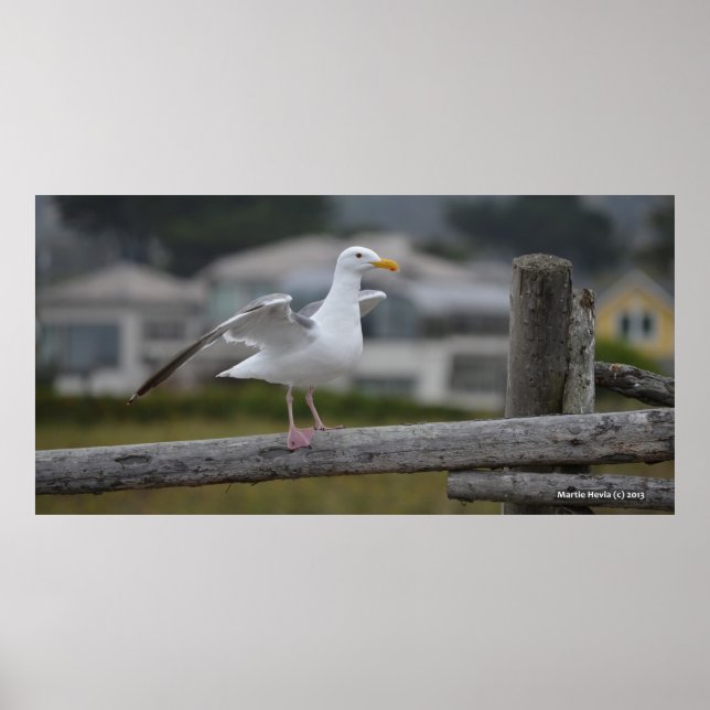 På stängslet II - Poster/skriv ut Poster (Framsidan)