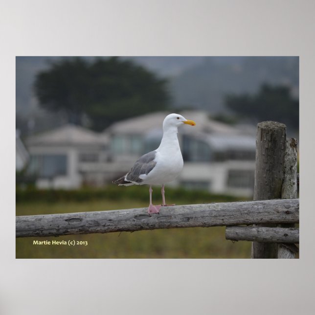 På stängslet poster (Framsidan)