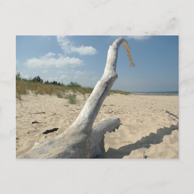 På stranden - vykort (Framsida)
