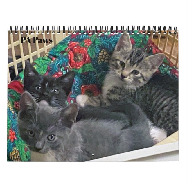 PA Tass 12-månaderskalender för Personlig Kalender (Omslag)