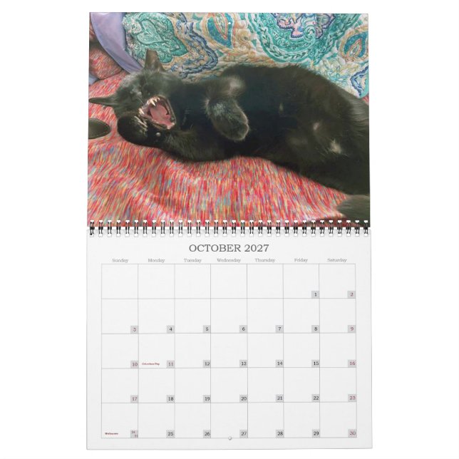 PA Tass 2 Årskalender 2023-2024 Kalender (Oct 2027)