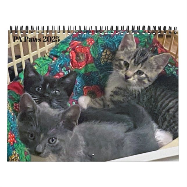 PA Tassar 12-månaderskalender för Personlig Kalender (Omslag)