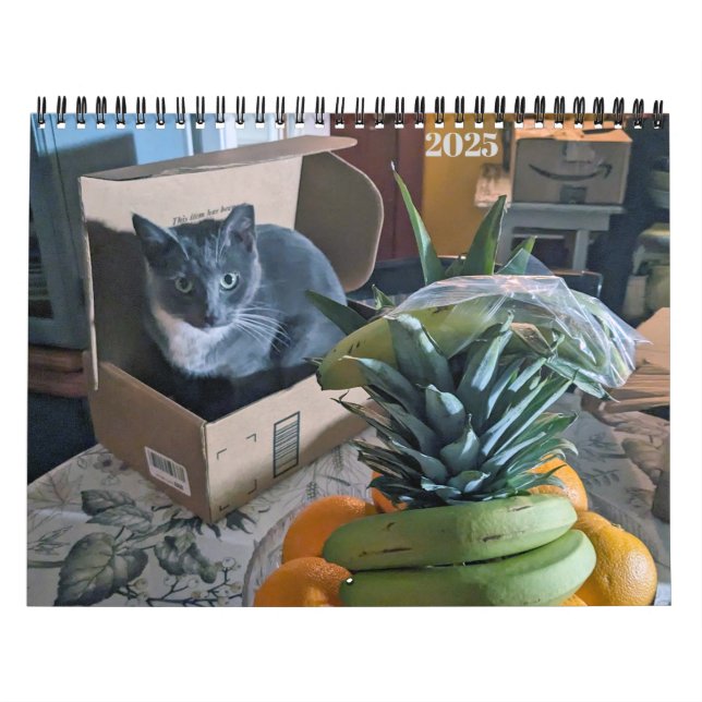 PA Tassar 2025 12 månaders Personlig Kalender (Omslag)