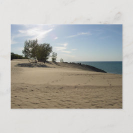 På toppen av Mt. Baldy, Indiana Dunes National Par Vykort