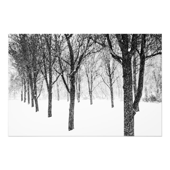 på träd sida fototryck (Framsidan)