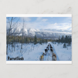 På_Trail.jpg-postkort Vykort