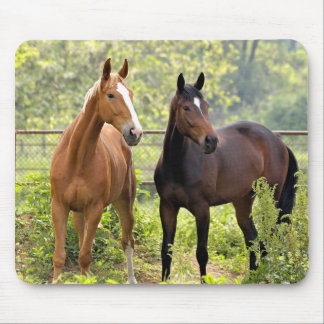 På uppmärksamhet musmatta