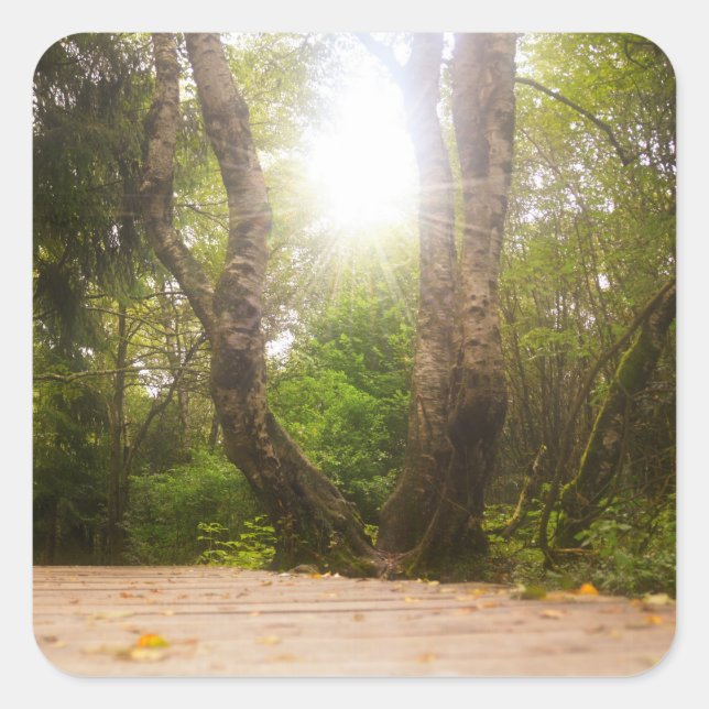 På väg...   fyrkantigt klistermärke (Framsida)