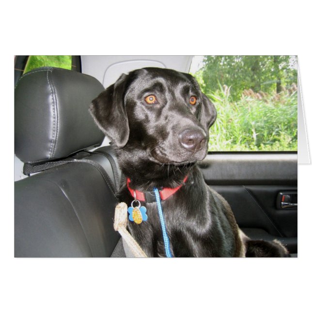 På vägen igen hälsningskort (Framsidan Horizontal)