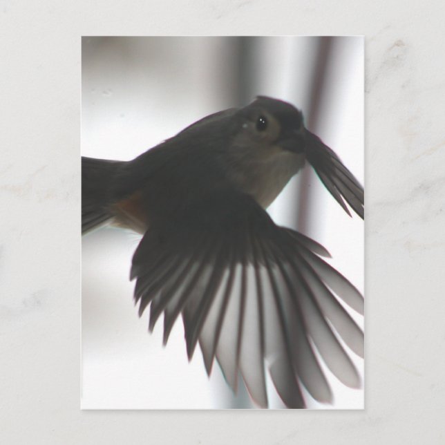 På vingen vykort (Framsida)