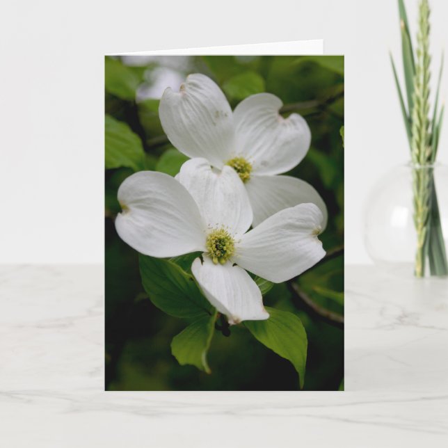 PA Wildblommor - Dogwood Notecard Kort (Framsida)