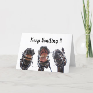 Paarden in de mond gekeken. 3 paarden lachend. tack kort