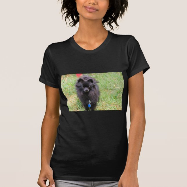 Pablo Pomeranianen T-shirt (Framsida)