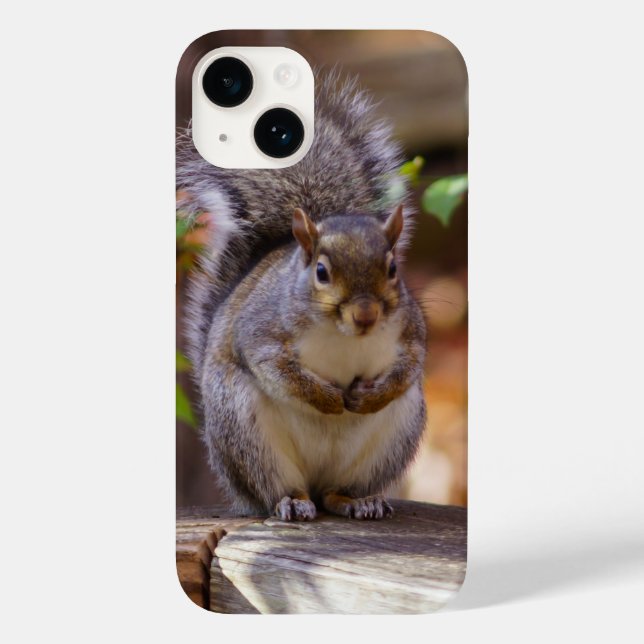 Påbörjande ekorre iphone case (Baksida)