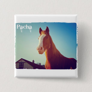 Pacha knäppas den Deluxe upplagan Knapp