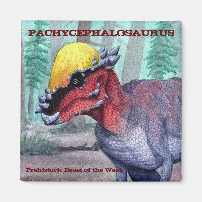 Pachycephalosaurus Magnet (Framsidan)