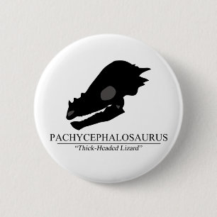 Pachycephalosaurus Skull Knapp