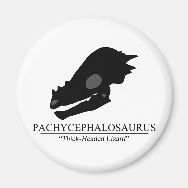 Pachycephalosaurus Skull Magnet (Framsidan)