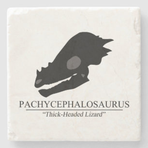 Pachycephalosaurus Skull Stenunderlägg