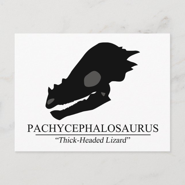 Pachycephalosaurus Skull Vykort (Framsida)