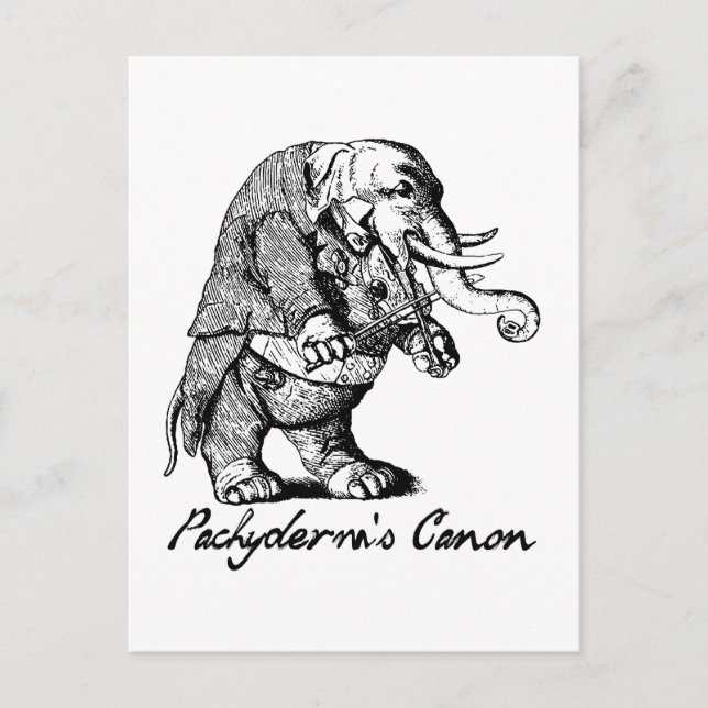 Pachyderms Canon Violin spelar Elephant Fiddle Vykort (Framsida)