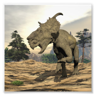 Pachyrhinosaurus dinosaurir - 3D-rendering Fototryck